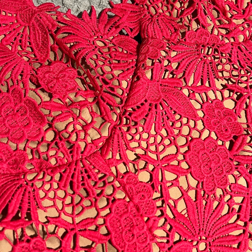 Bardot Strapless Red Floral Lace Dress - Picture 14 of 16